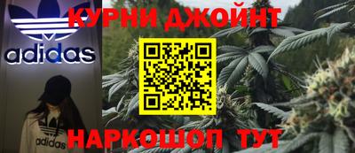 PSILOCYBIN Бугуруслан