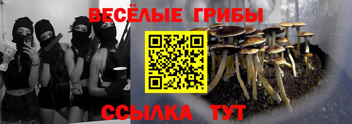 Родники  Псилоцибиновые грибы GOLDEN TEACHER  Вход с VPN 